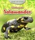 Cover of: Life Story of a Salamander