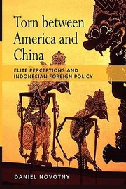 Torn Between America and China by Daniel Novotny