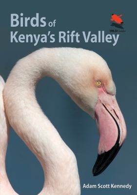 Birds of Kenyas Rift Valley Wildlife Explorer Guides