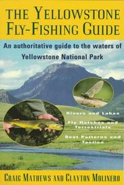Cover of: The Yellowstone fly-fishing guide by Craig Mathews