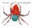 Cover of: The Very Busy Spider
            
                World of Eric Carle Philomel Books