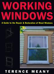 Working windows by Terry Meany