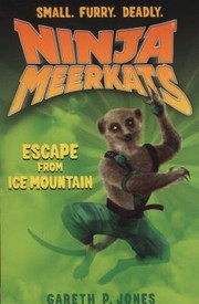 Cover of: Mystery of Ice Mountain by 