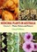 Cover of: Medicinal Plants in Australia Volume 3