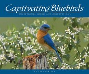 Cover of: Captivating Bluebirds by 