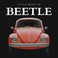 Cover of: Little Book of Beetle
            
                Little Book of