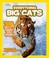 Cover of: National Geographic Kids Everything Big Cats
            
                National Geographic Kids Everything Hardcover
