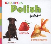 Cover of: Colours in Polish