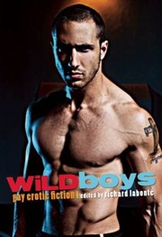 Cover of: Wild Boys Gay Erotic Fiction by Richard Labonte