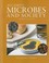 Cover of: Alcamos Microbes And Society
