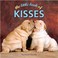 Cover of: The Little Book Of Kisses