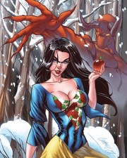 Cover of: Grimm Fairy Tales Art Book