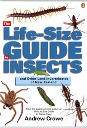 Cover of: The Lifesize Guide To Insects Other Land Invertebrates Of New Zealand by 