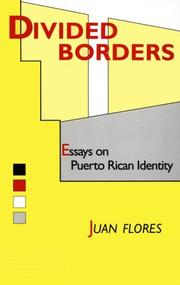 Cover of: Divided Borders: Essays on Puerto Rican Identity