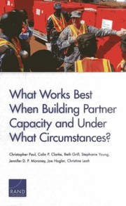 Cover of: WHAT WORKS BEST BUILD PART CAPACITY