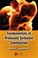 Cover of: Fundamentals Of Premixed Turbulent Combustion