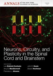 Neurons Circuitry And Plasticity In The Spinal Cord And Brainstem by Lea Ziskind