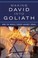 Cover of: Making David Into Goliath How The World Turned Against Israel