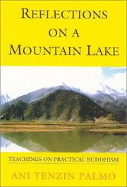 Cover of: Reflections on a mountain lake by Tenzin Palmo