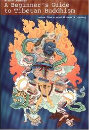 Cover of: A Beginner's Guide to Tibetan Buddhism