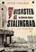 Cover of: Disaster At Stalingrad