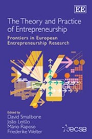 Cover of: The Theory And Practice Of Entrepreneurship Frontiers In European Entrepreneurship Research