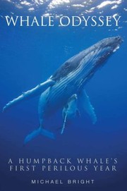 Whale Odyssey A Humpback Whales First Perilous Year by Michael Bright