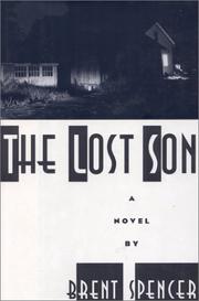 Cover of: The lost son: a novel