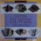 Cover of: Drying flowers