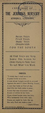 Cover of: Catalogue of the Jennings Nursery: pecan trees, fruit trees, shade trees, ornamentals for the South