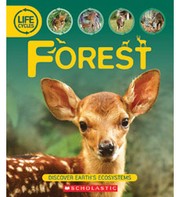 Cover of: Life Cycles: Forest