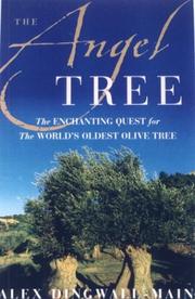 Cover of: The angel tree: the enchanting quest for the world's oldest olive tree