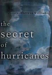 Cover of: The secret of hurricanes: a novel
