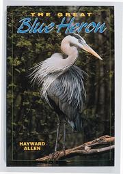 Cover of: The great blue heron by Hayward Allen