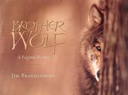 Brother Wolf by Jim Brandenburg