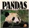 Cover of: Pandas for kids