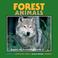 Cover of: Forest Animals (Nature for Kids)