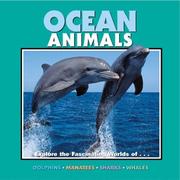 Cover of: Ocean Animals by Laura Evert, Julia Vogel, Kathy Feeney, Patricia Corrigan