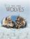 Cover of: We Are Wolves