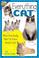 Cover of: Everything Cat