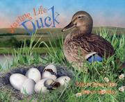Cover of: Duck (Starting Life)
