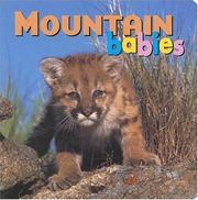 Cover of: Mountain babies