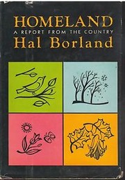 Cover of: Homeland: a report from the country