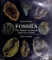 Cover of: Fossils: The Oldest Treasures That Ever Lived