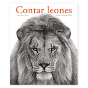 Counting Lions by Katie Cotton