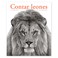 Cover of: Contar leones