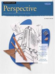 Cover of: Beginner's Guide: Perspective (HT29)