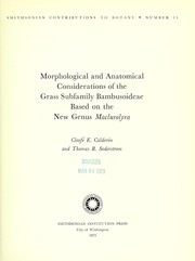 Cover of: Morphological and anatomical considerations of the grass subfamily Bambusoideae based on the new genus Maclurolyra
