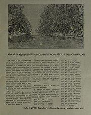 Cover of: [Pecan tree trade circular]