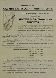 Cover of: Kalmia latifolia (Mountain laurel): collected clumps by the carload